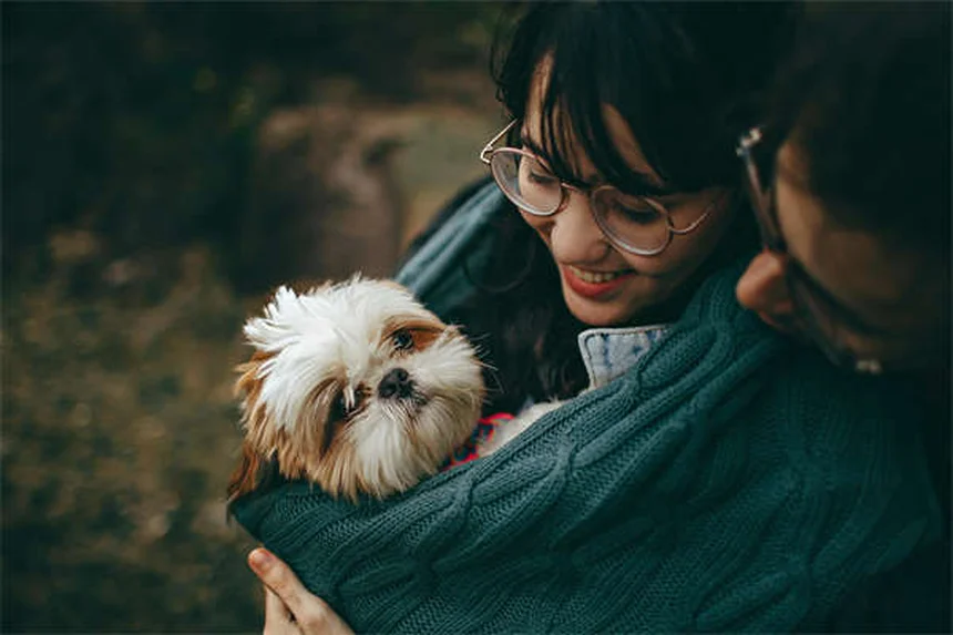 Do Dogs Have Best Friends? 5 Signs Your Pup Has a BFF